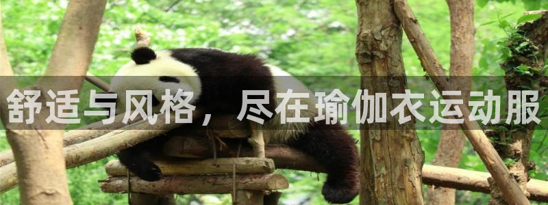 放心购买足球平台