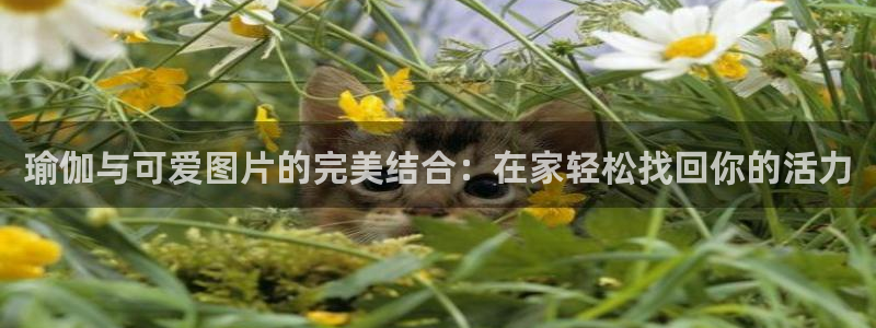 欧洲杯投注在哪找网址